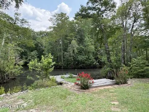 158 Widow Moore Drive, Currie, NC 28435 - #3