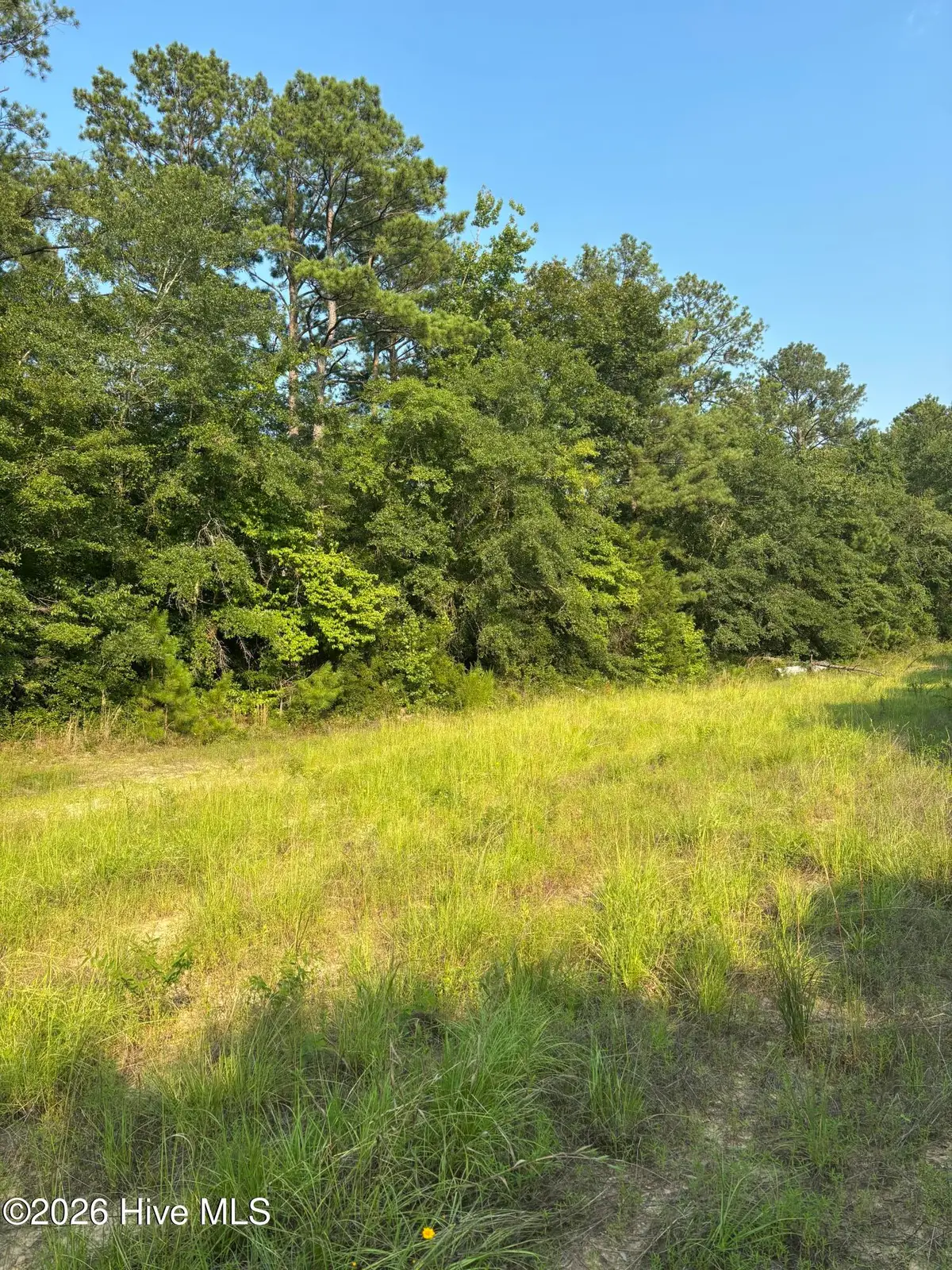 00 Magnolia Church Road, Gibson, GA 30810 - #1