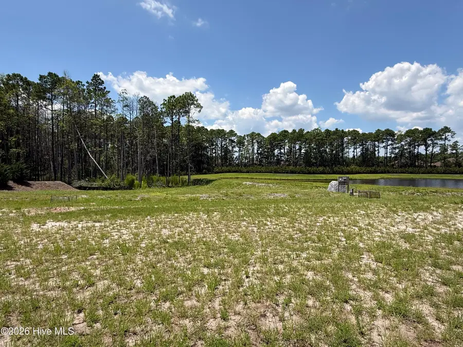 5515 Fayes Meadow Court #(Lot 4), Wilmington, NC 28412 - #2
