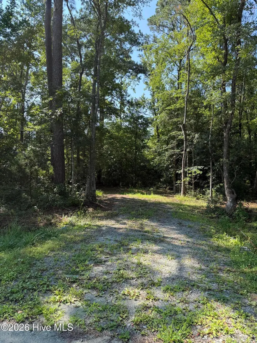 1421 Seafarer Drive, Oriental, NC 28571 - #2