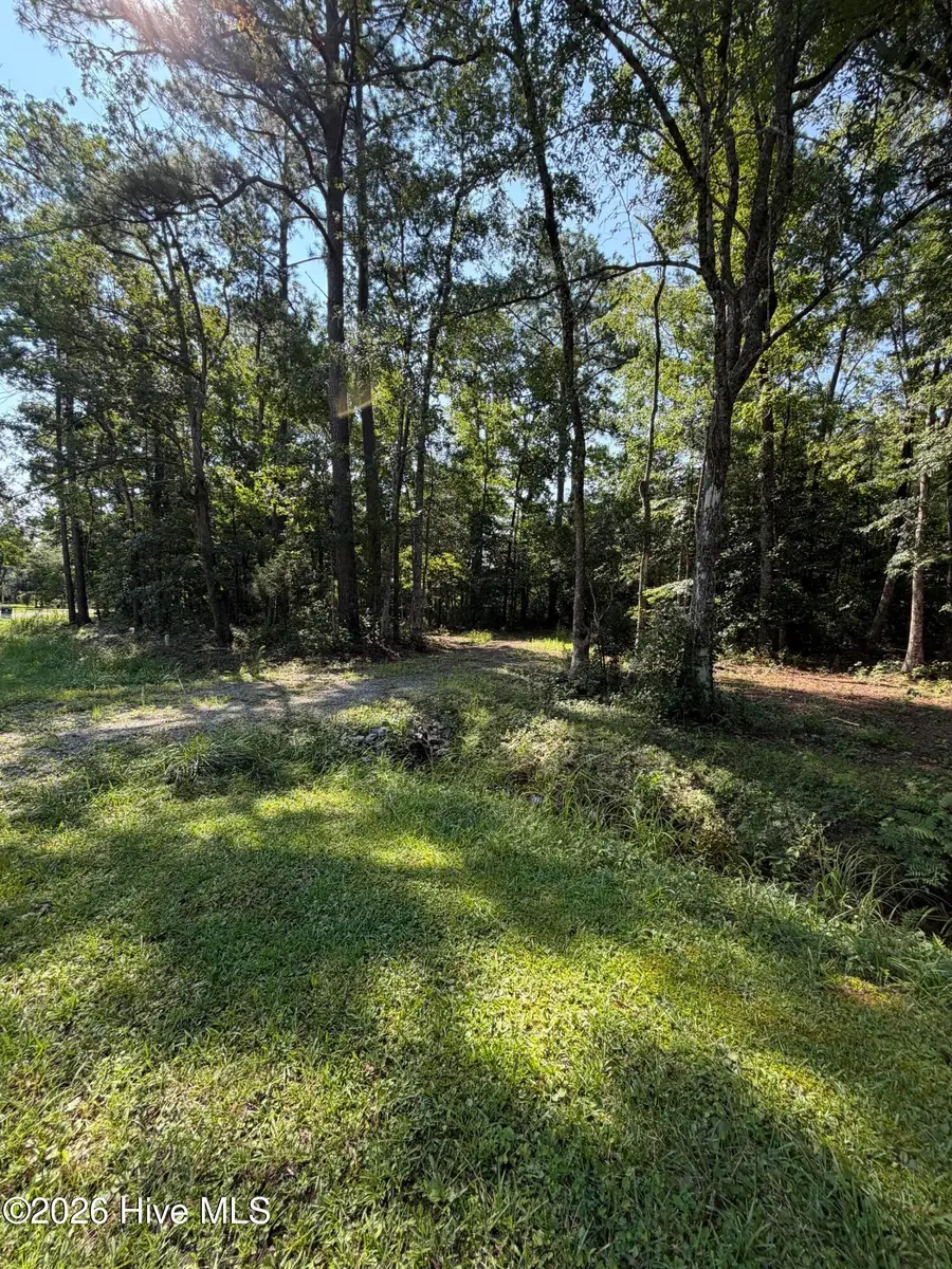 1421 Seafarer Drive, Oriental, NC 28571 - #3