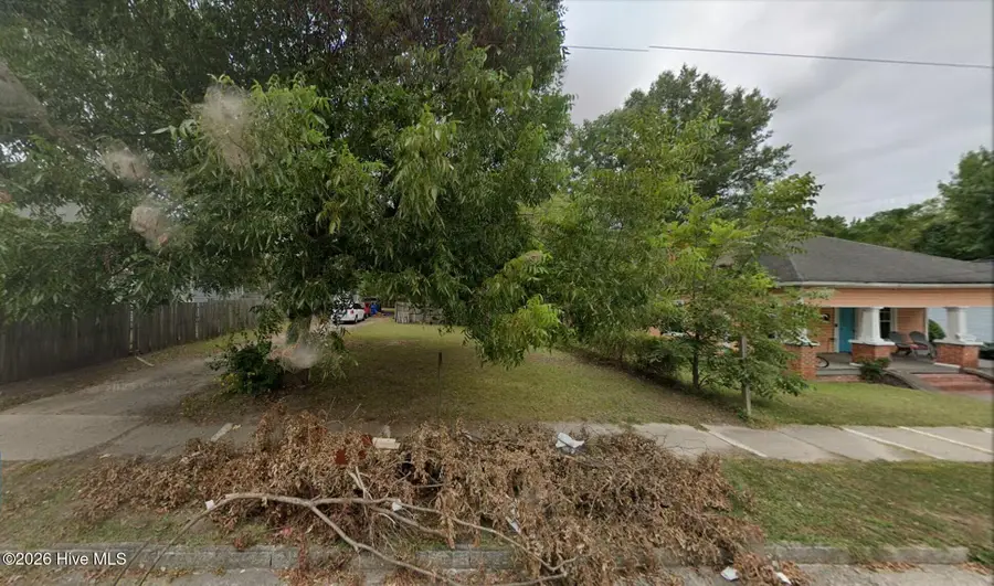 103 S Briggs Avenue, Durham, NC 27703 - #2
