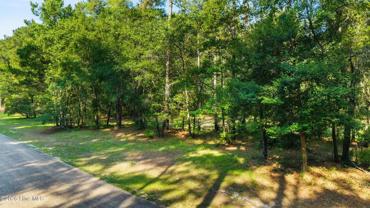 230 River Woods Drive, Wallace, NC 28466 - #1