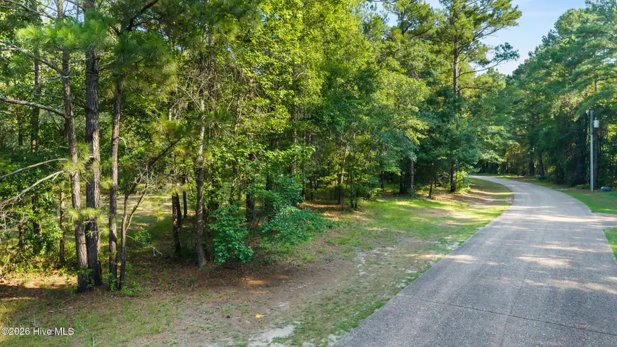 230 River Woods Drive, Wallace, NC 28466 - #3