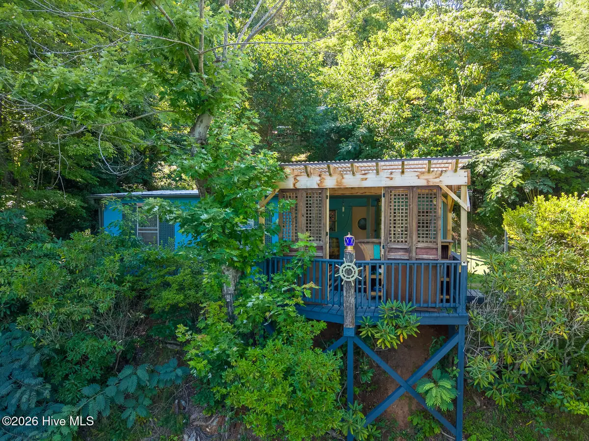 208 Lakeview Drive, Robbinsville, NC 28771 - #1