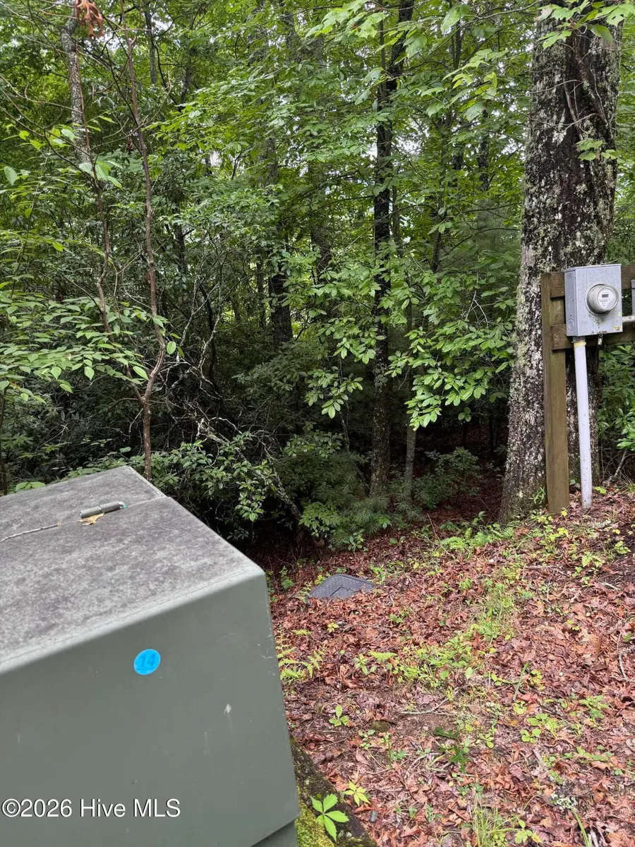 Lot 14 Mountain Vista Lane, Topton, NC 28781 - #2