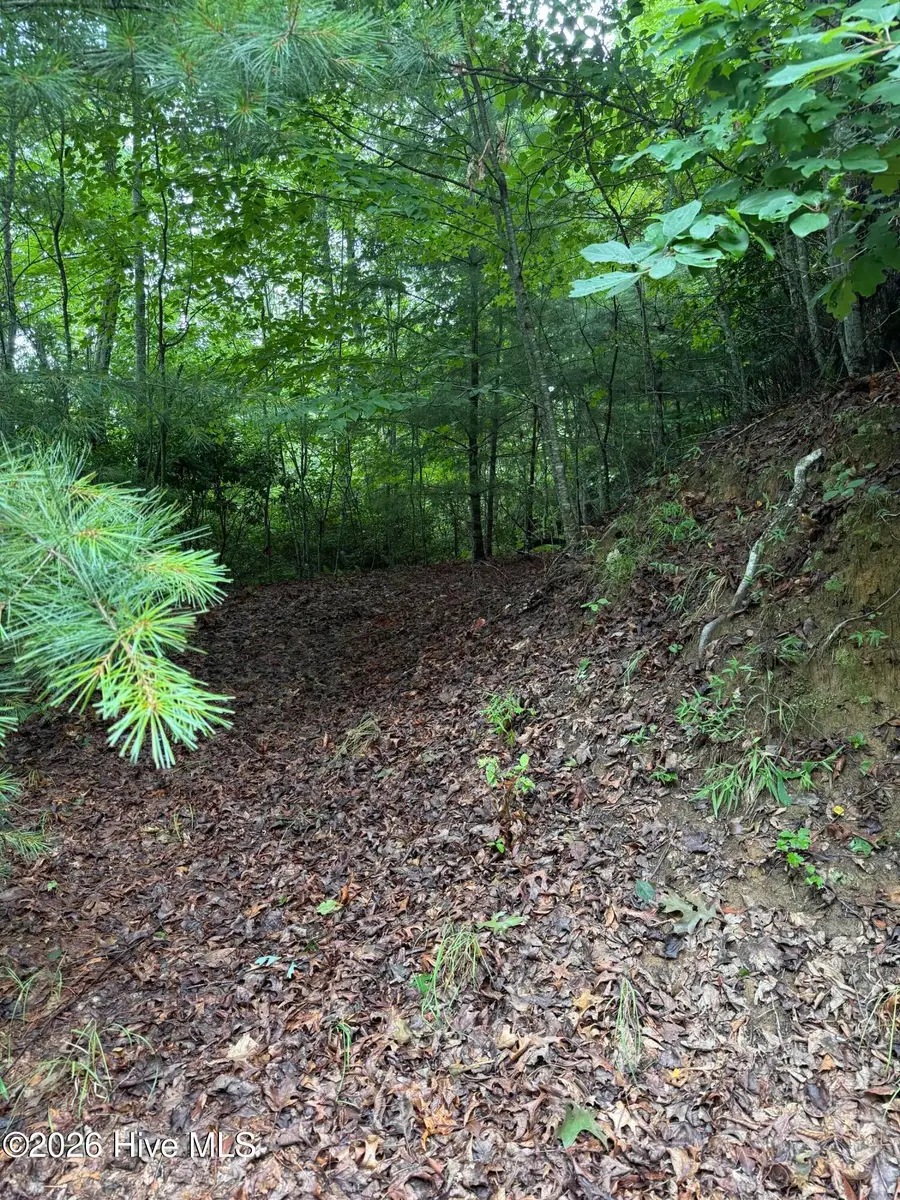 Lot 14 Mountain Vista Lane, Topton, NC 28781 - #3