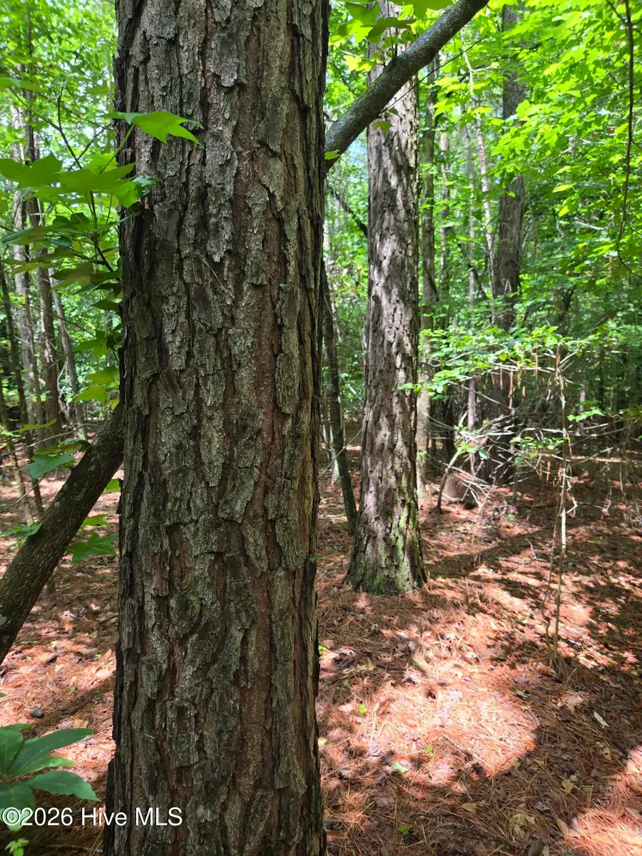 0 Ballard Road, Williamston, NC 27892 - #3