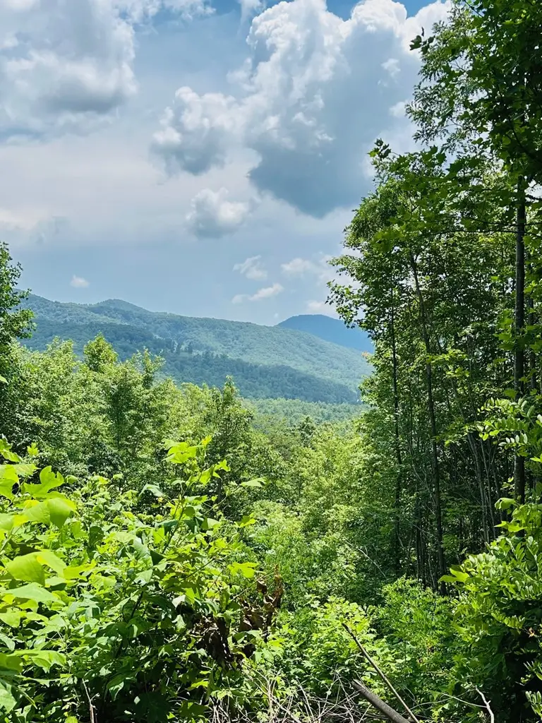 Lot 13 View Ridge Trail, Murphy, NC 28906 - #2
