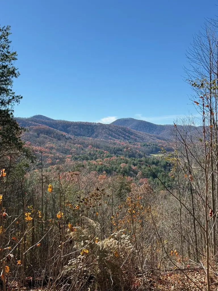Lot 13 View Ridge Trail, Murphy, NC 28906 - #3