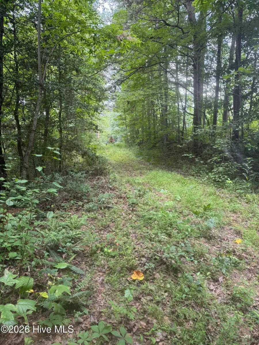 24,25 Camp Creek Estates Drive, Murphy, NC 28906 - #3