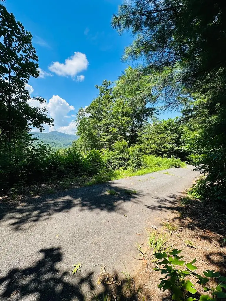 Lot 14 View Ridge Trail, Murphy, NC 28906 - #3