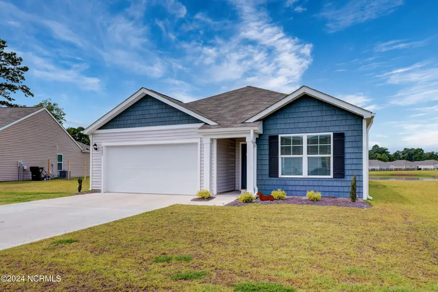 6205 Centipede Place, Castle Hayne, NC 28429 - #2