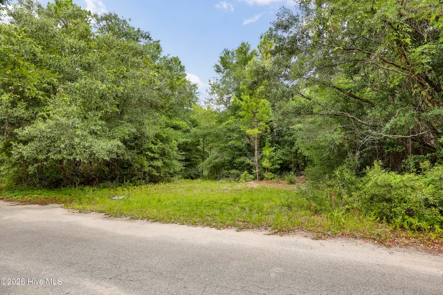 312 Alexander Place, Wilmington, NC 28411 - #2
