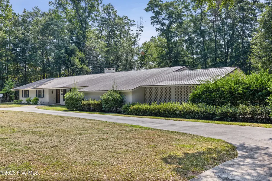 203 Helen Street, Hampton, SC 29924 - #3