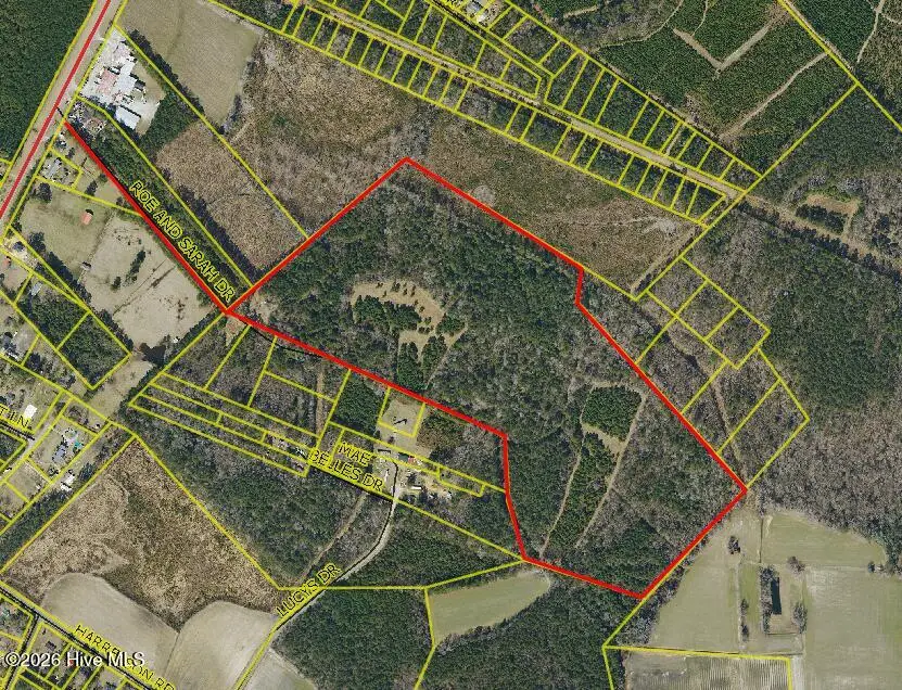359 Roe And Sarah Drive, Clarkton, NC 28433 - #1