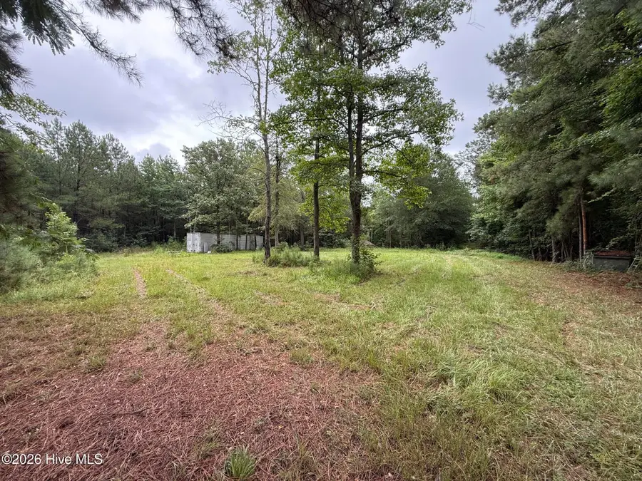 359 Roe And Sarah Drive, Clarkton, NC 28433 - #3
