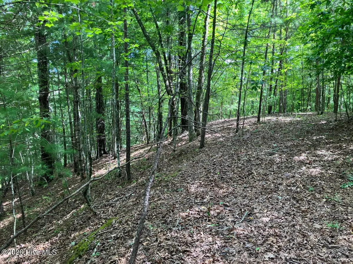 11 Green Cove Circle, Murphy, NC 28906 - #1