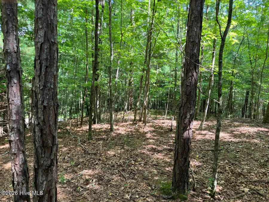 11 Green Cove Circle, Murphy, NC 28906 - #2