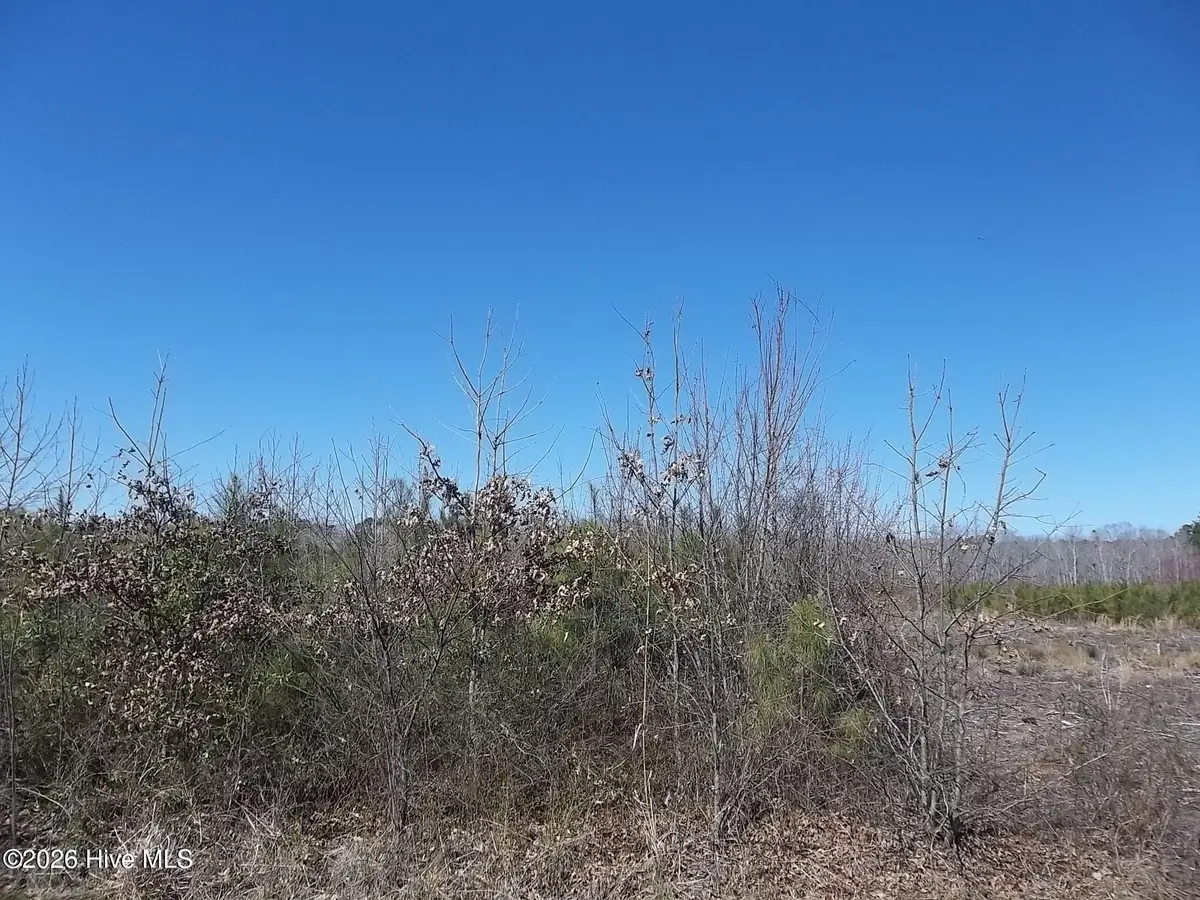 Tbd Boat Ramp Road, Hertford, NC 27944 - #1