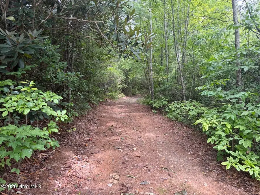 760 Cliff Top Trail, Andrews, NC 28901 - #2