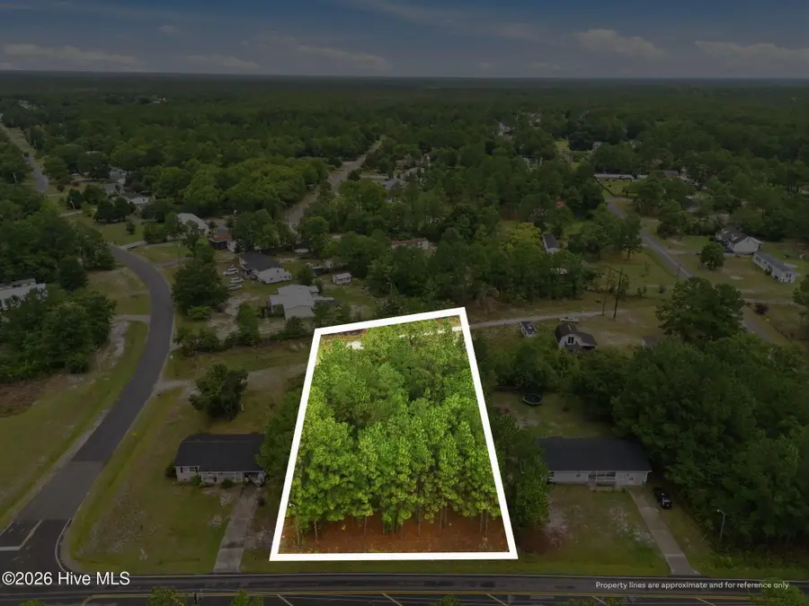 3632 Mt Misery Road Ne, Leland, NC 28451 - #2