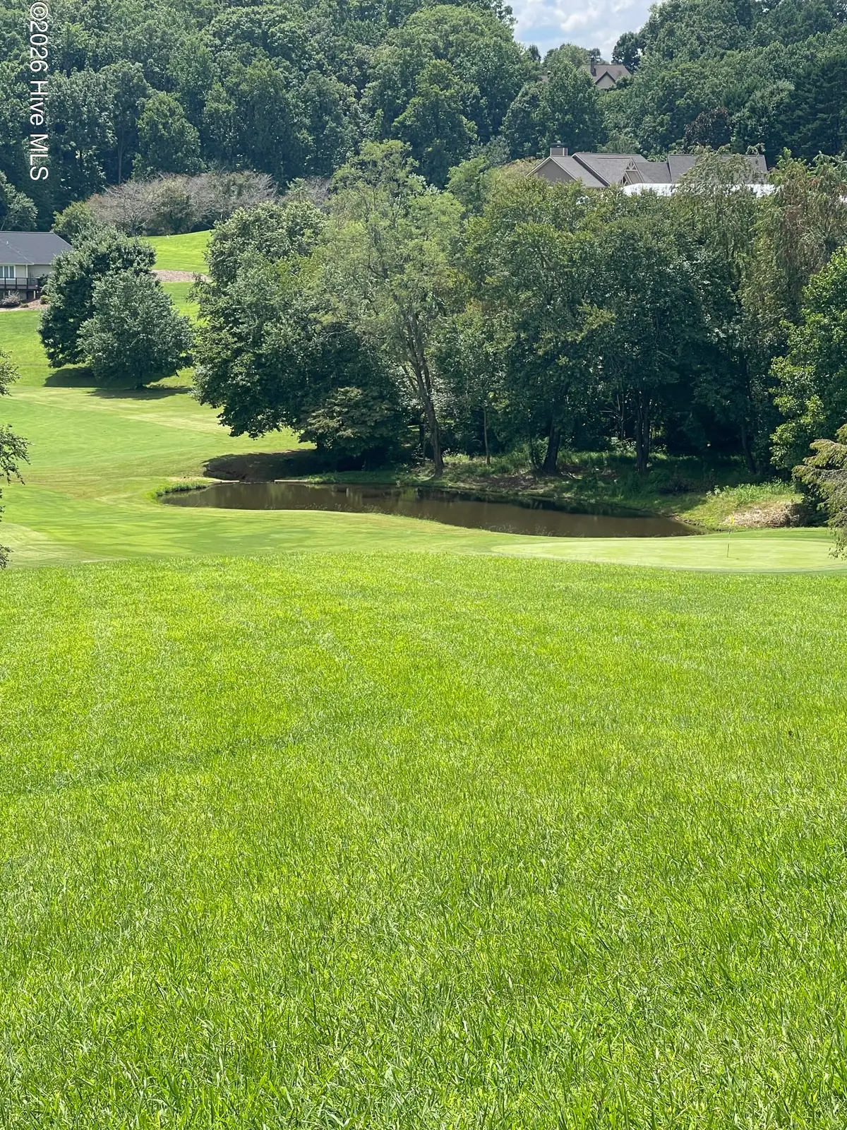 2k Mountain Harbour Drive, Hayesville, NC 28904 - #1