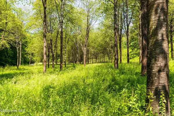 4197 Adams Chapel Road, Dearing, GA 30808
