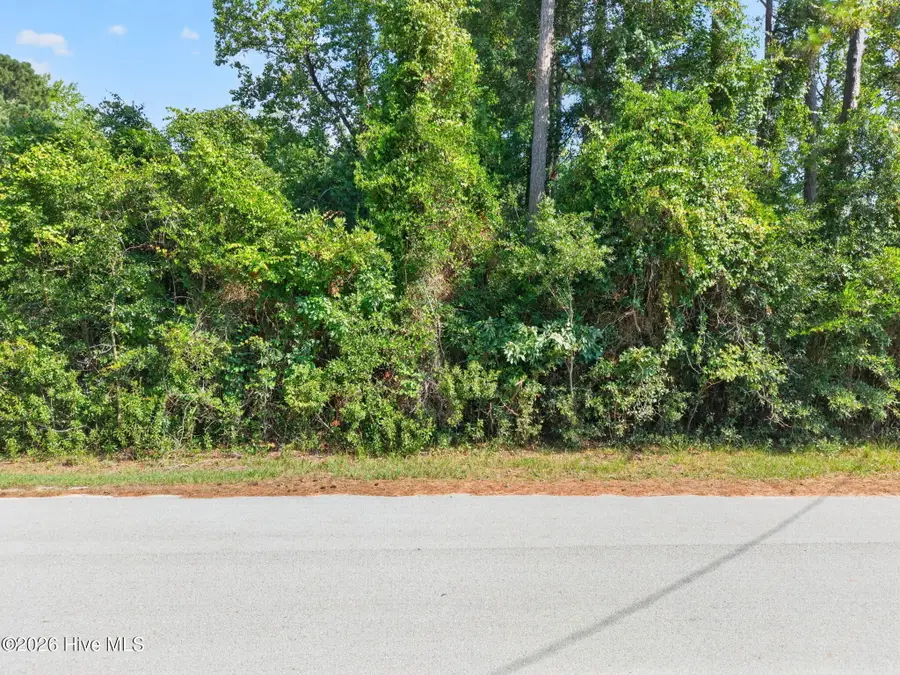 4456 Live Oak Street Sw, Shallotte, NC 28470 - #2