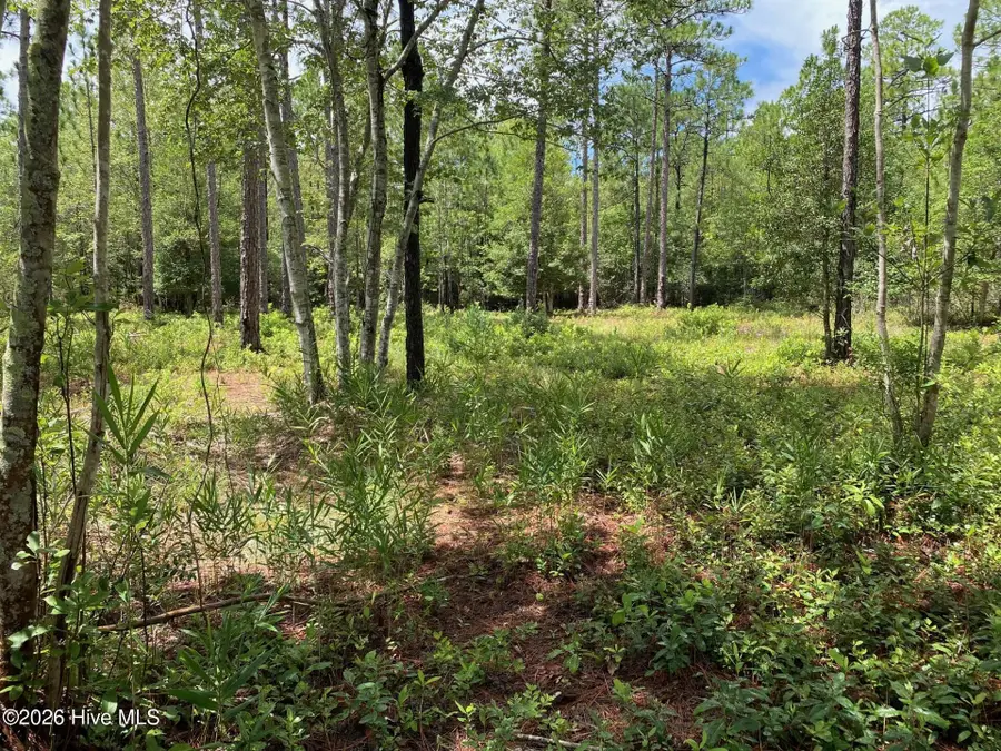361 Ash Road, Boiling Spring Lakes, NC 28461 - #2