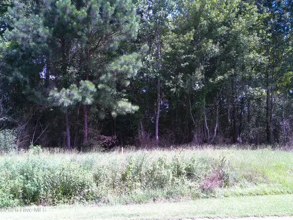 Tbd Haywood Smith Road, Hertford, NC 27944
