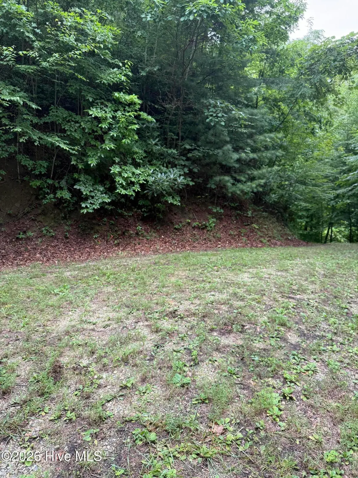 Lot 15 Mountain Vista Lane, Topton, NC 28781 - #1