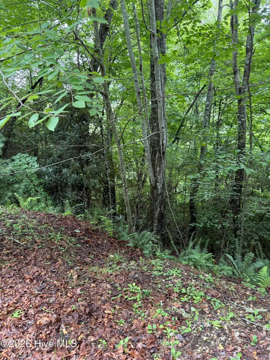 Lot 15 Mountain Vista Lane, Topton, NC 28781 - #3