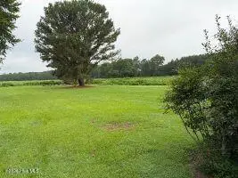 5615 Oakley Road, Robersonville, NC 27871 - #2