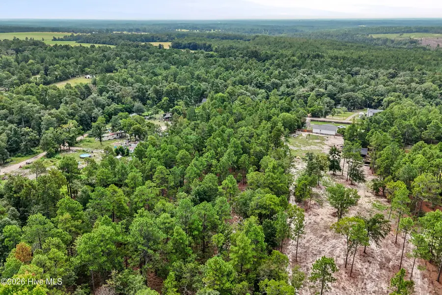 2467 Patiller Road, Hephzibah, GA 30815 - #3