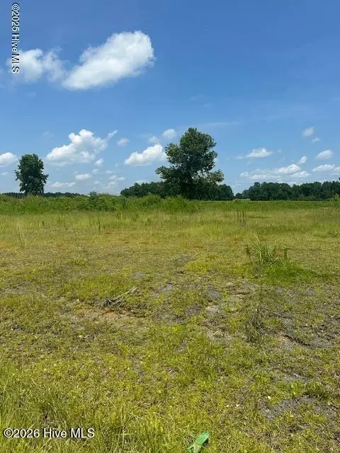 705 Am Godwin Road, Clarendon, NC 28432 - #1