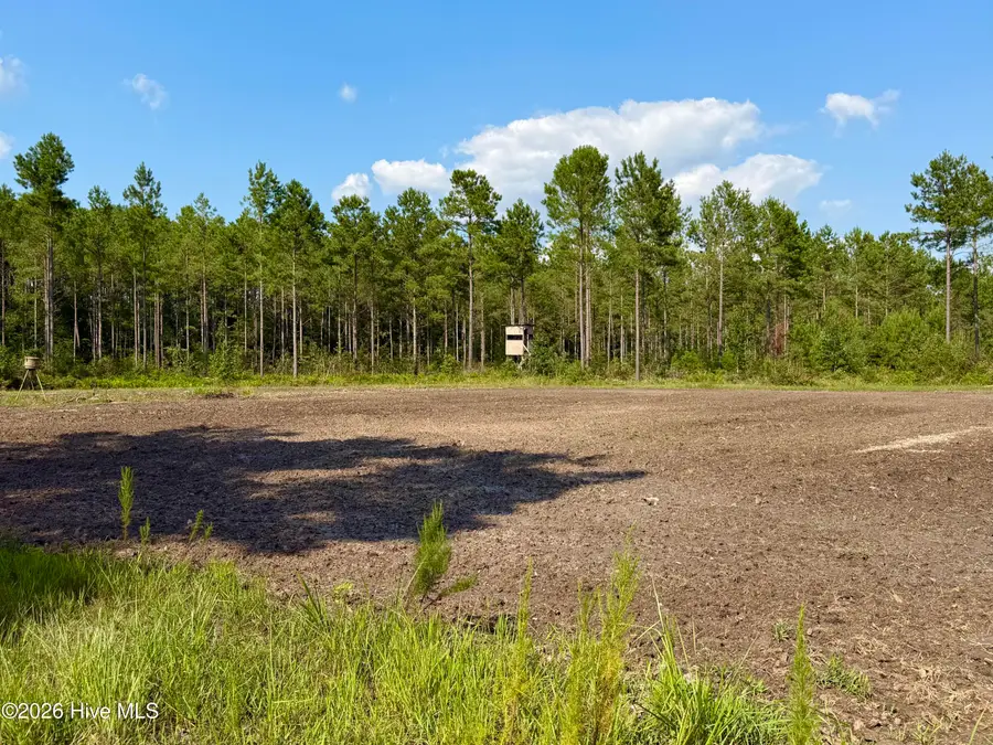 2310 Devils Racetrack Road, Four Oaks, NC 27524 - #3