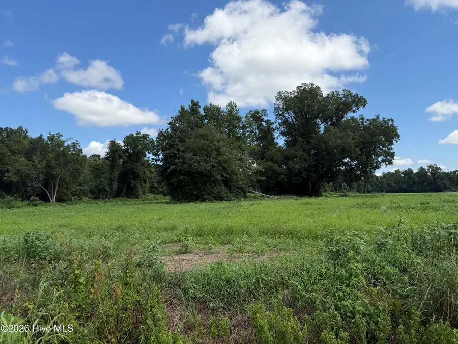 6514 Princess Ann Road, Evergreen, NC 28438 - #2