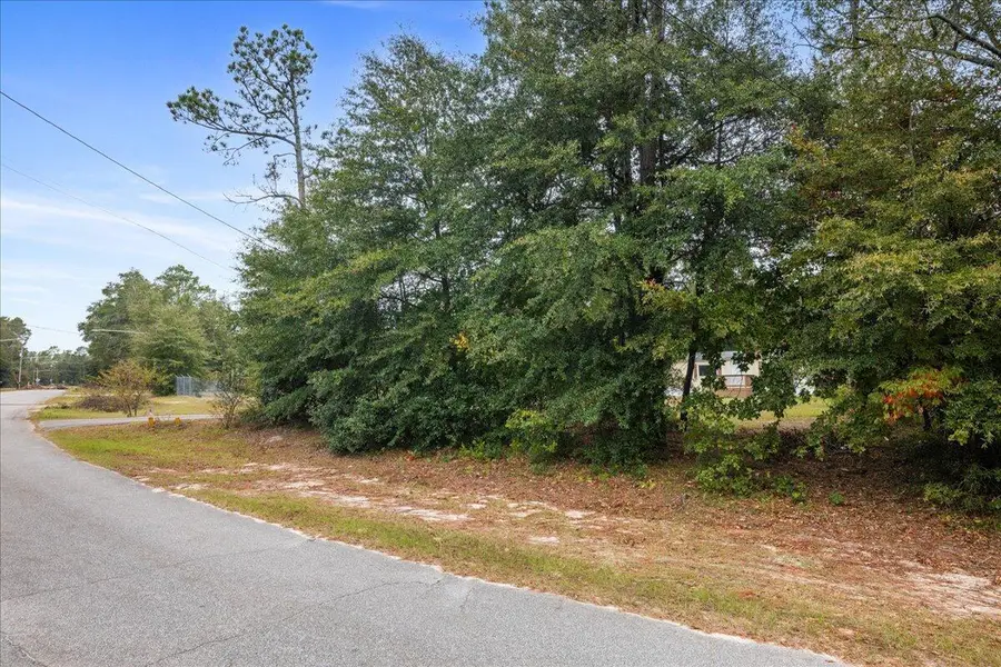 5022 Deer Trail Drive, Hephzibah, GA 30815 - #2