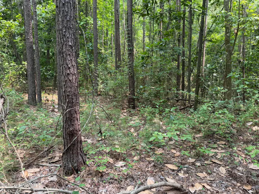 1187 Green Springs Road, New Bern, NC 28560 - #3
