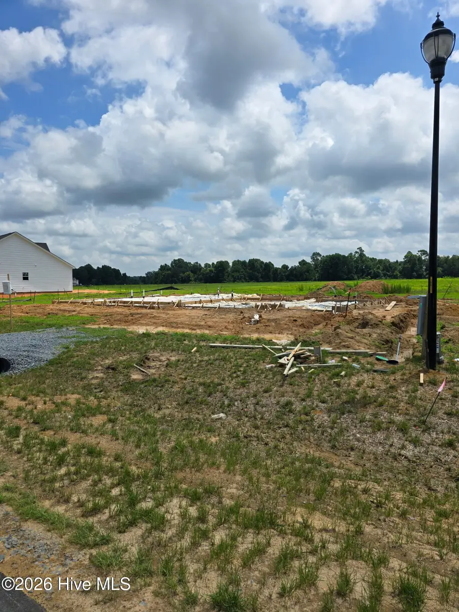 118 Margot Manor Drive, Benson, NC 27504 - #3