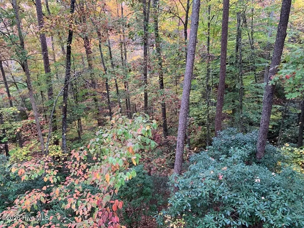 27 Laurel Lane, Topton, NC 28781 - #1