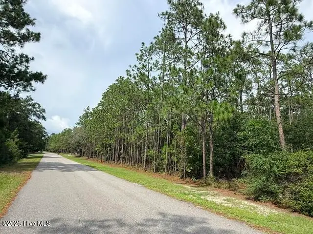 L-26 & 27 Eden Drive, Boiling Spring Lakes, NC 28461 - #2