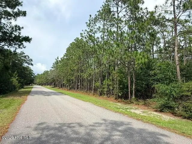 L-26 & 27 Eden Drive, Boiling Spring Lakes, NC 28461 - #3