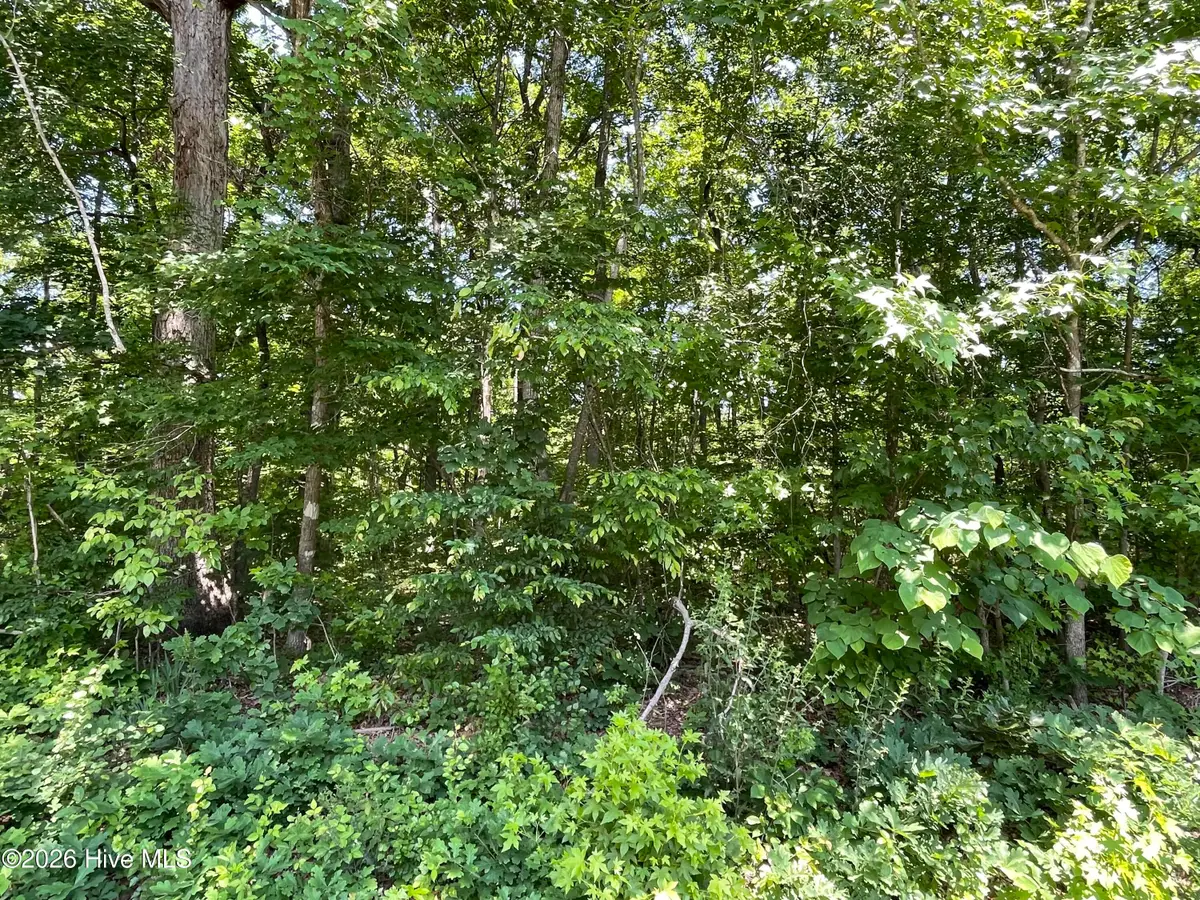 Lot 1 Shady Lane, Burlington, NC 27215 - #1