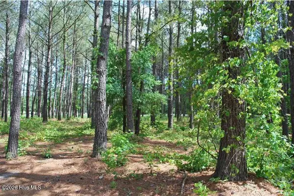795 Wild Oak Lane Nw, Calabash, NC 28467