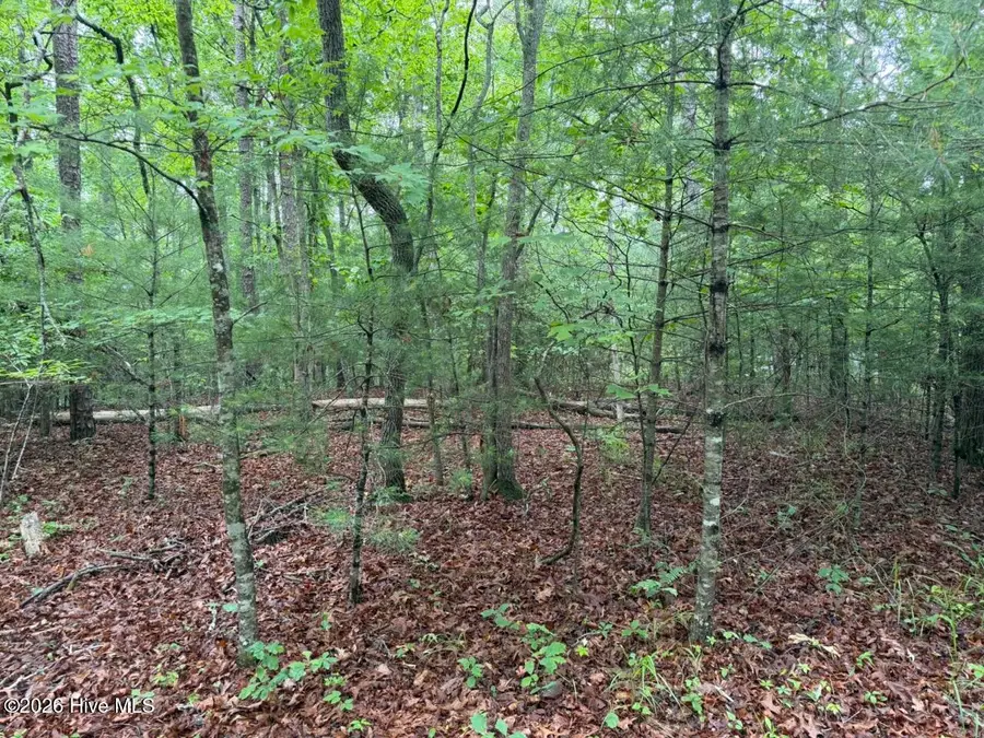 00 Snow Hill Ridge Road, Murphy, NC 28906 - #3