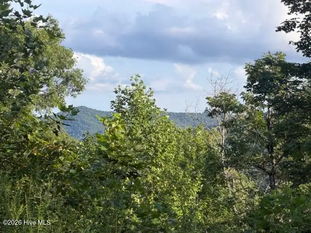 13 Little Choga Road, Topton, NC 28781 - #1