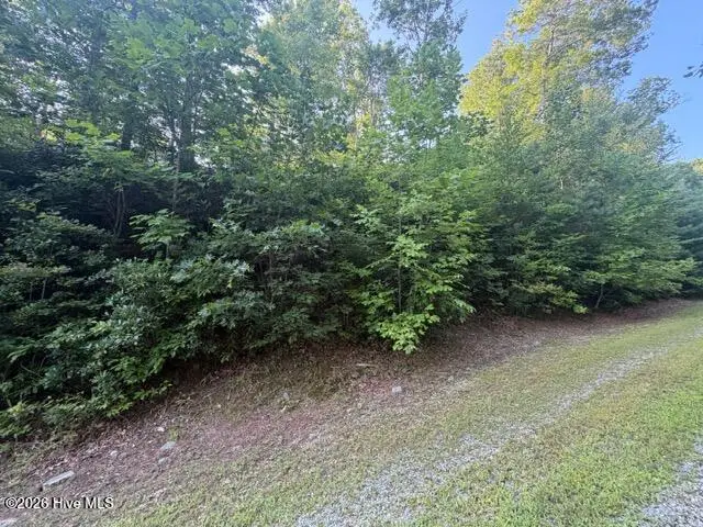 13 Little Choga Road, Topton, NC 28781 - #3