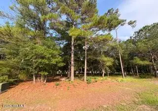 2110 Oyster Harbour Parkway Sw, Supply, NC 28462 - #3